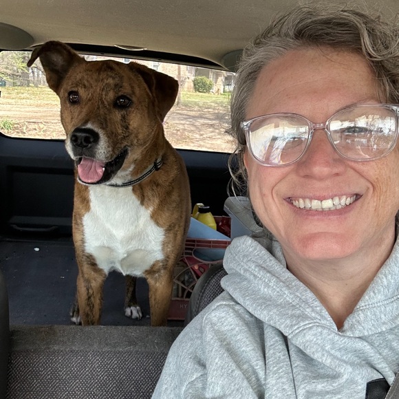 Meet your Posher, Jammie - Picture 3 of 3